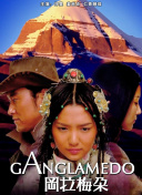 多语言网站如何应对不同搜索引擎算法优化挑战